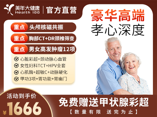 豪华高端孝心深度-1666